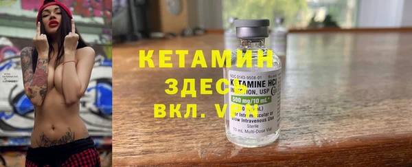 шишки Аркадак