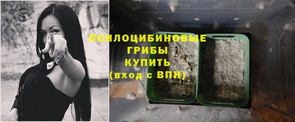 бошки Сафоново