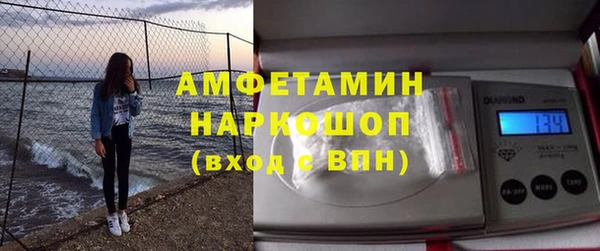 шишки Аркадак