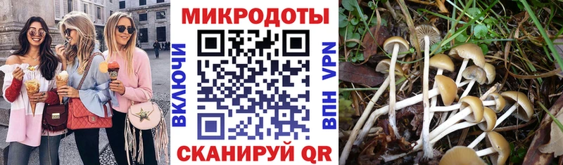 сайты даркнета какой сайт  где купить   hydra сайт  Хвалынск  Галлюциногенные грибы мицелий 